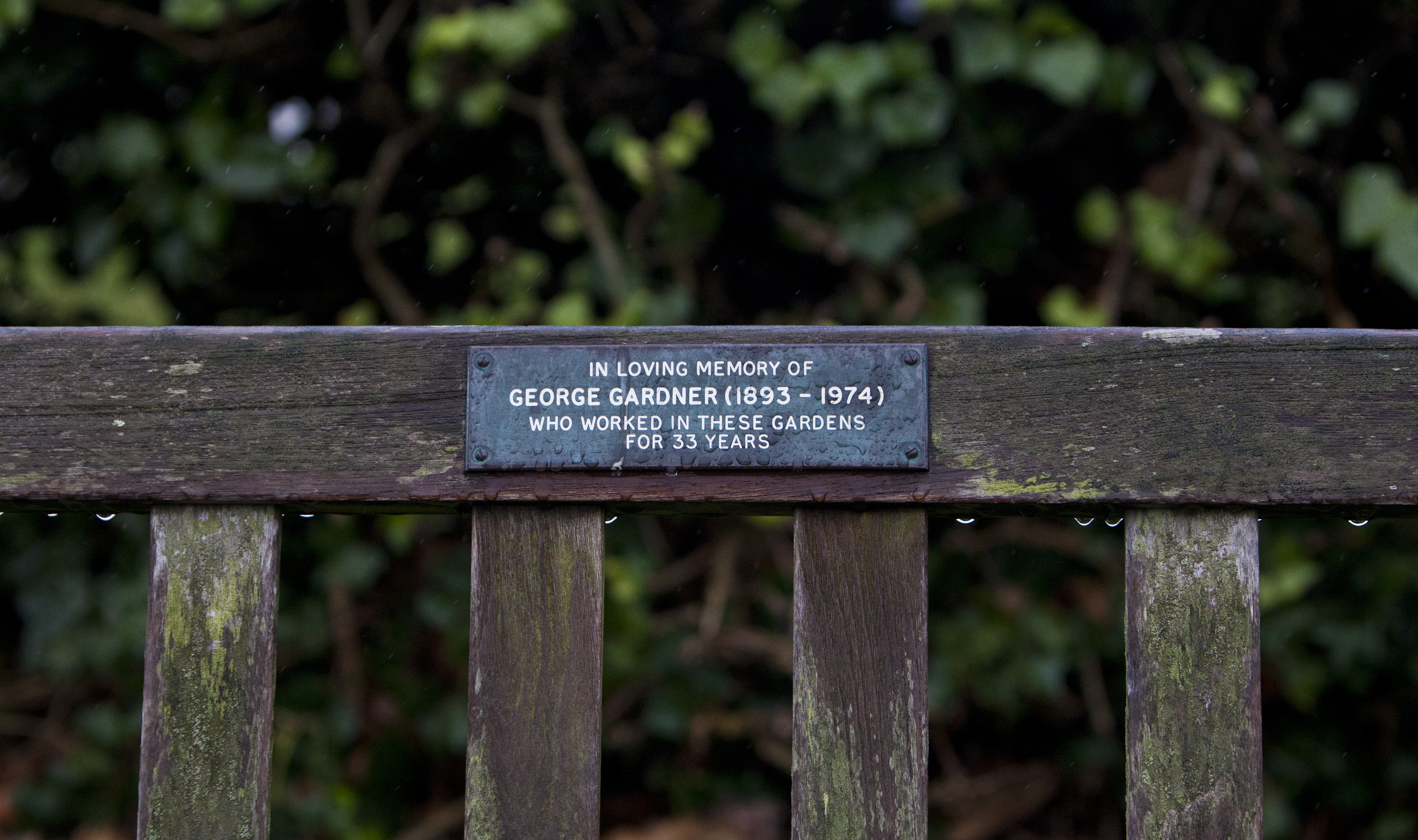 Photograph of a bench