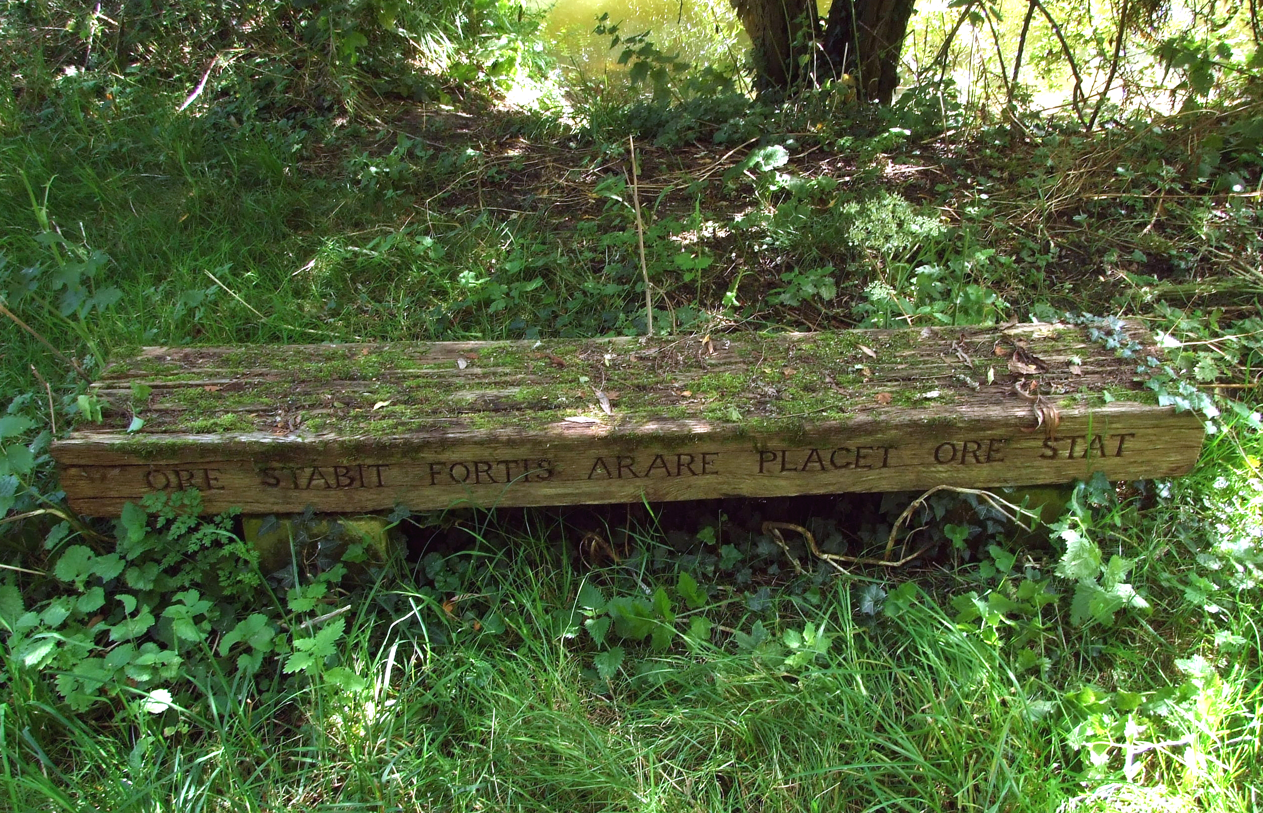 Photograph of a bench